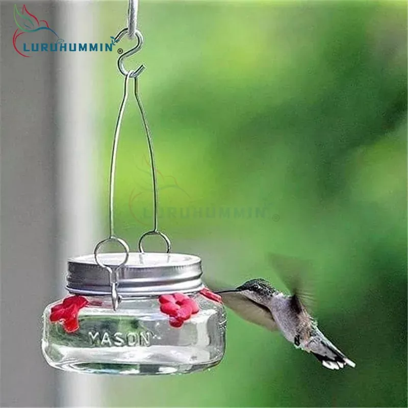 SOLARIUM Hummingbird Foedera